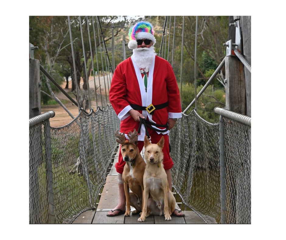 YORKristmas 2025 Expression of Interest (EOI)