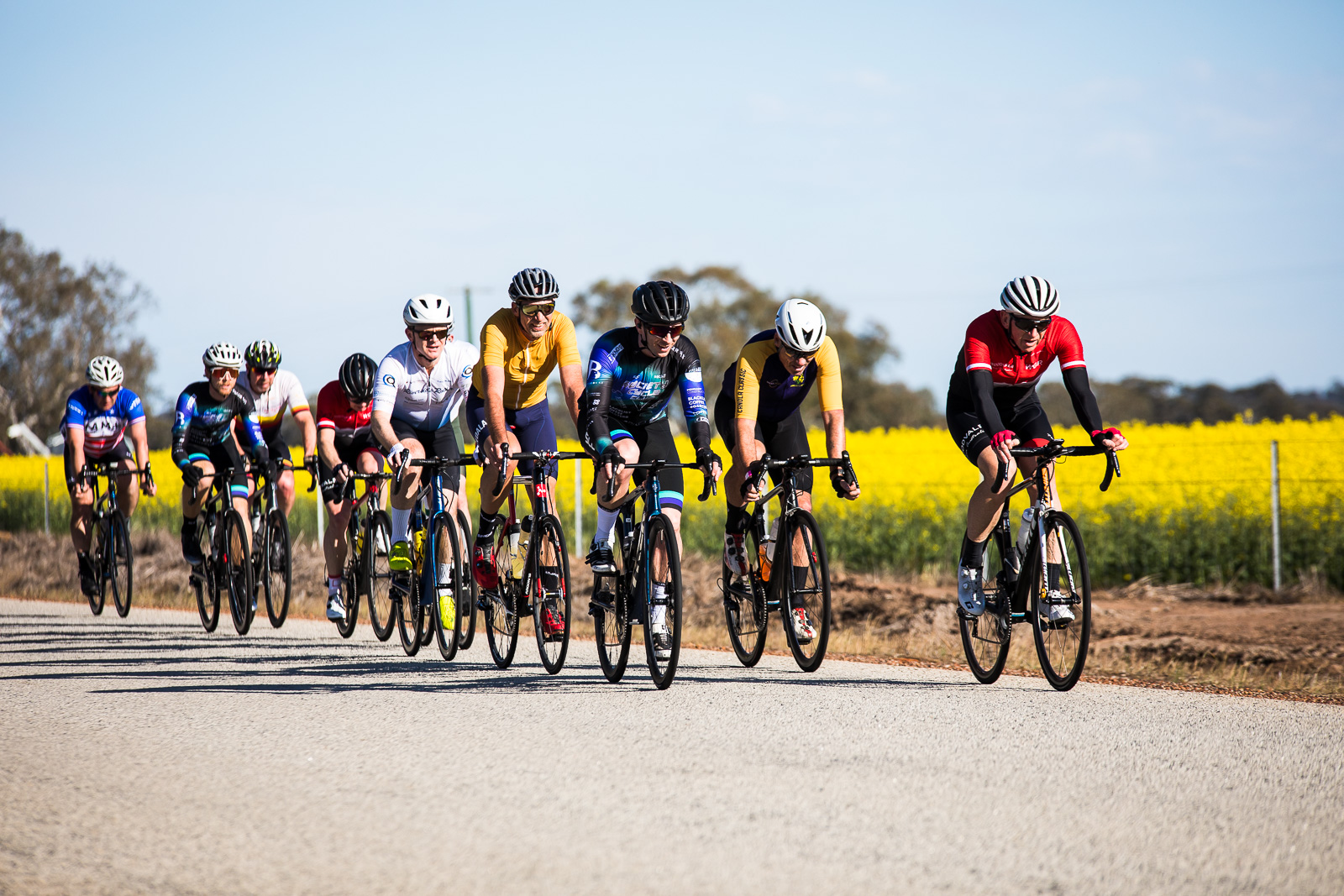 York Canola Classic 2024 - Save the Date