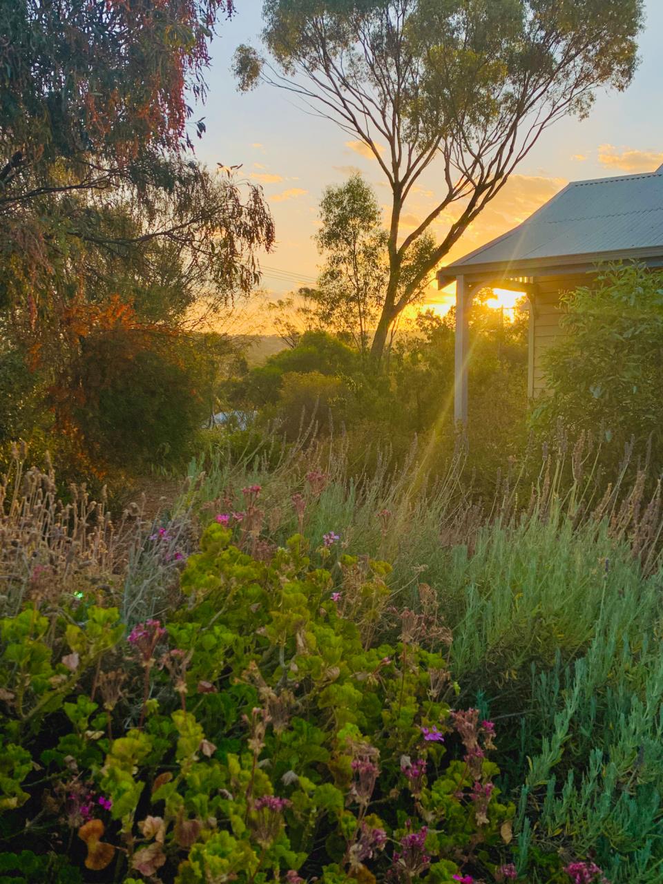 York Garden Club Open Day