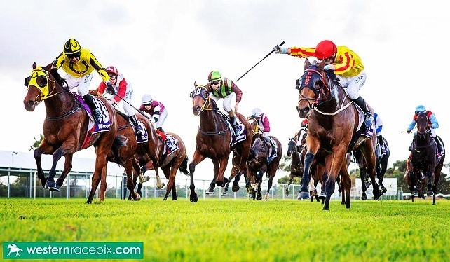 York Cup