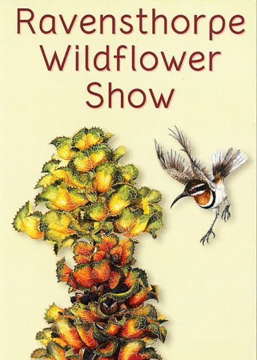 Ravensthorpe Wildflower Show