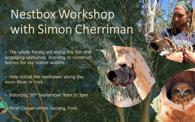 Nest Box Workshop with Simon Cherriman @ The York Festival